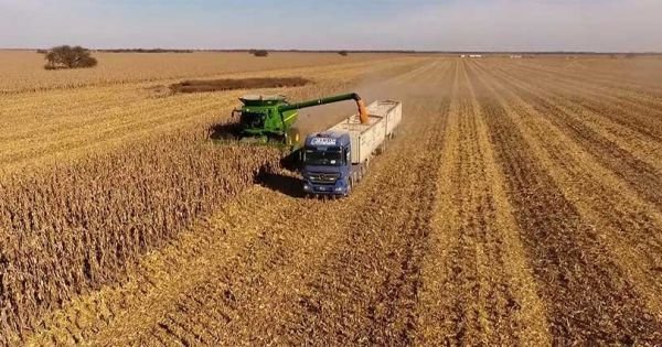 Producción récord de soja en Paraguay