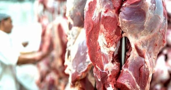 Paraguay cumple con estándares de la UE en producción de carne de vacuno