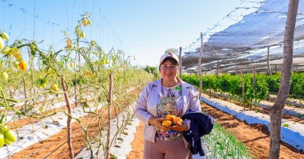 Inicjatywy na rzecz rozwoju paragwajskiego rolnictwa