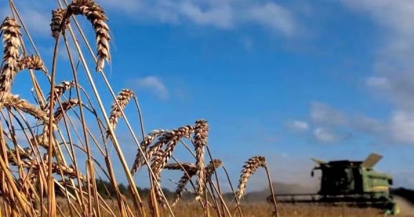 Zgłaszają znaczny wzrost w paragwajskim eksporcie rolnym - Mercopress