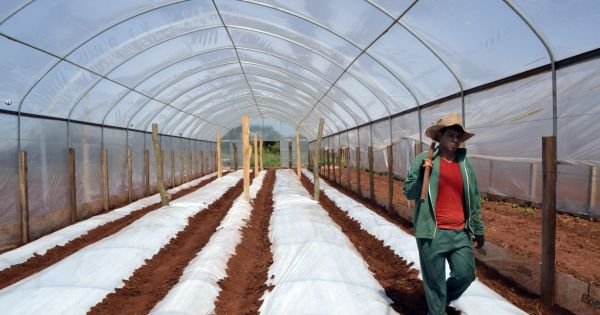 Francuskie firmy zainteresowane przeniesieniem produkcji do Paragwaju - Mercopress