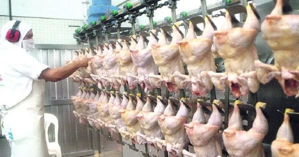 Paragwaj kończy pierwszą dostawę mięsa drobiowego na Filipiny