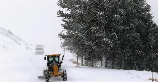Fala polarna ustępuje w Argentynie, a Patagonię czekają deszcze, śnieg i porywy osiągające prędkość 90 km/h
